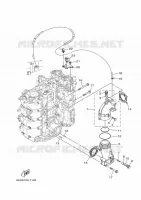 ECHAPPEMENT pour Yamaha VF115 2021