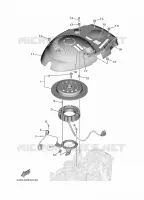 ALLUMAGE pour Yamaha F80 2021