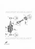 VILEBREQUIN / PISTON pour Yamaha F20 2021