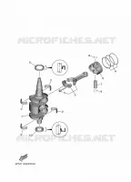 VILEBREQUIN / PISTON pour Yamaha F20 2021