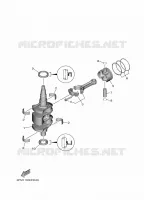 VILEBREQUIN / PISTON pour Yamaha F20 2021