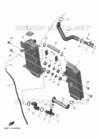 RADIATEUR / DURITES pour Yamaha YZF 2024