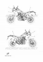 EMBLEME pour Yamaha TENERE 2024