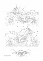 EMBLEME pour Yamaha MT 2024