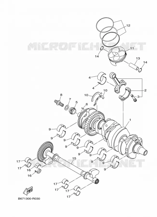 VILEBREQUIN / PISTON Yamaha MOTO 1000 2024 MT  MTN1000D