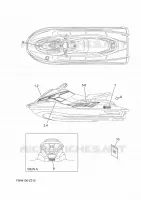 EMBLEME pour Yamaha EX 2024