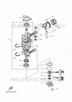 VILEBREQUIN / PISTON pour Yamaha 40 2018