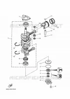 VILEBREQUIN / PISTON pour Yamaha 40 2018
