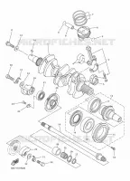 VILEBREQUIN / PISTON pour Yamaha VK 2021