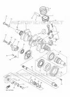 VILEBREQUIN / PISTON pour Yamaha SIDEWINDER 2024