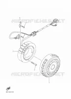 ALLUMAGE pour Yamaha SIDEWINDER 2024