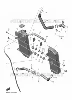 RADIATEUR / DURITES pour Yamaha YZF 2024