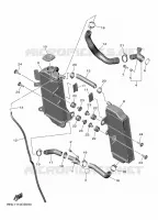 RADIATEUR / DURITES pour Yamaha YZF 2024