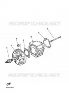CYLINDRE pour Yamaha PW 2022