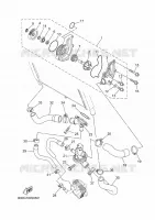POMPE A EAU / DURITES pour Yamaha XSR 2021
