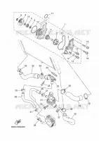 POMPE A EAU / DURITES pour Yamaha TRACER 2020