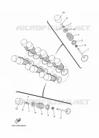 SOUPAPE pour Yamaha TRACER 2020