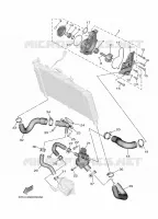 POMPE A EAU / DURITES pour Yamaha MT 2025