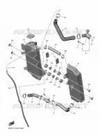 RADIATEUR / DURITES pour Yamaha YZF 2025