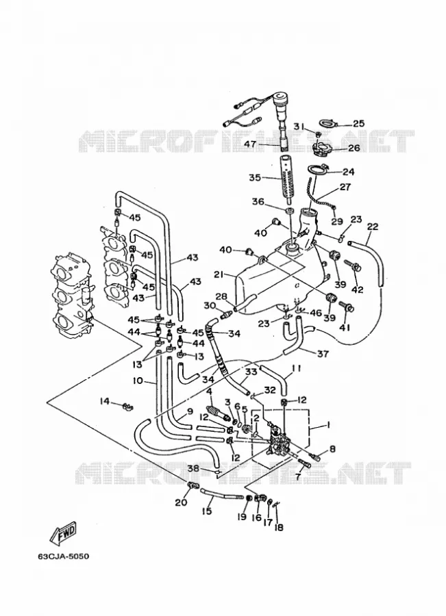 POMPE A HUILE 1 Yamaha OUTBOARD ENGINES 50hp (36.8kW) 1997 50  50H