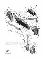 RADIATEUR / DURITES pour Yamaha MT 2025