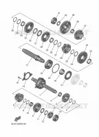 TRANSMISSION pour Yamaha MT 2025