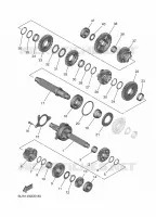 TRANSMISSION pour Yamaha MT 2025