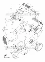 ADMISSION pour Yamaha SIDEWINDER 2025