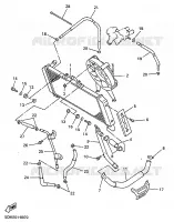 RADIATEUR / DURITES pour Yamaha FAZER 1998