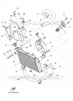 RADIATEUR / DURITES pour Yamaha MT03 2008