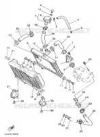 RADIATEUR / DURITES pour Yamaha RDLC 1986