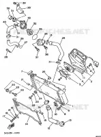 RADIATEUR / DURITES pour Yamaha TDM 1991