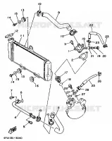 RADIATEUR / DURITES pour Yamaha TDR 1998