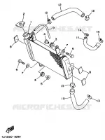 RADIATEUR / DURITES pour Yamaha TZ 1997