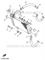 RADIATEUR / DURITES pour Yamaha TZ 1998