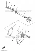POMPE A EAU pour Yamaha TZ 1998