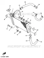 RADIATEUR / DURITES pour Yamaha TZ 1998