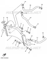 RADIATEUR / DURITES pour Yamaha TZ 1996