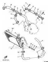 RADIATEUR / DURITES pour Yamaha TZ 1986