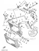 RADIATEUR / DURITES pour Yamaha TZR 1989