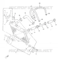 RADIATEUR / DURITES pour Yamaha TZR 1998
