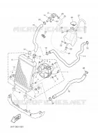 RADIATEUR / DURITES pour Yamaha MAXSTER 2001