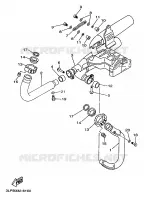 ECHAPPEMENT pour Yamaha VIRAGO 1997