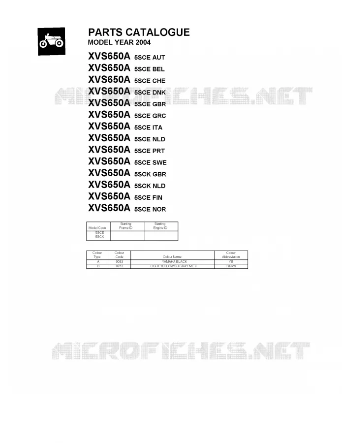 * CATALOG PREFACE * Yamaha MOTO 650 2004 DRAGSTAR  XVS650A