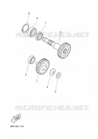 TRANSMISSION pour Yamaha WHY 2003