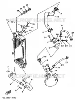 RADIATEUR / DURITES pour Yamaha DTRE 1998