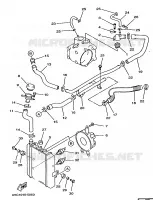 RADIATEUR / DURITES pour Yamaha MAJESTY 1998