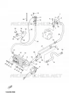 RADIATEUR / DURITES pour Yamaha XMAX 2008