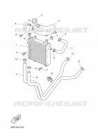 RADIATEUR / DURITES pour Yamaha AEROX 2008