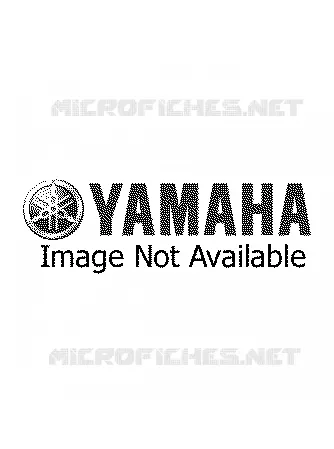 PIÈCES OPTIONNELLES 1 Yamaha MOTO 80 1999 YZ  YZ80